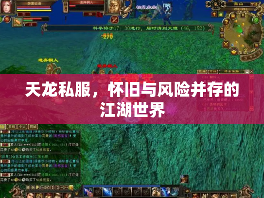 天龙私服，怀旧与风险并存的江湖世界