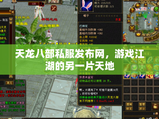 天龙八部私服发布网，游戏江湖的另一片天地