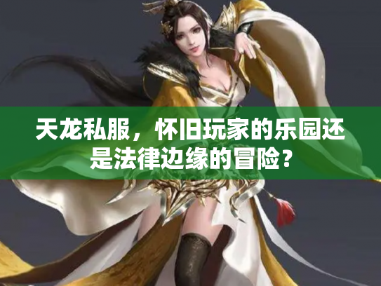 天龙私服，怀旧玩家的乐园还是法律边缘的冒险？
