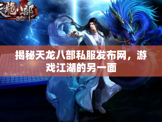 揭秘天龙八部私服发布网，游戏江湖的另一面