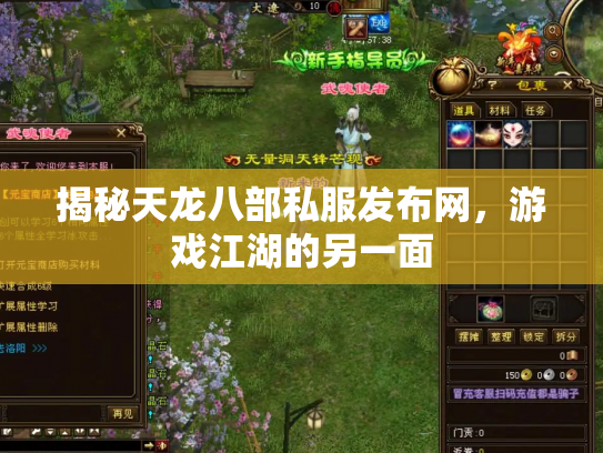 揭秘天龙八部私服发布网，游戏江湖的另一面