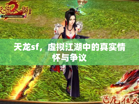 天龙sf，虚拟江湖中的真实情怀与争议