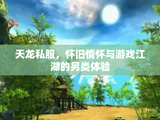 天龙私服，怀旧情怀与游戏江湖的另类体验
