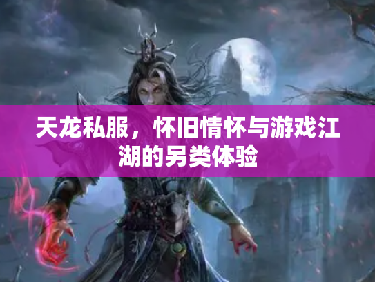 天龙私服，怀旧情怀与游戏江湖的另类体验