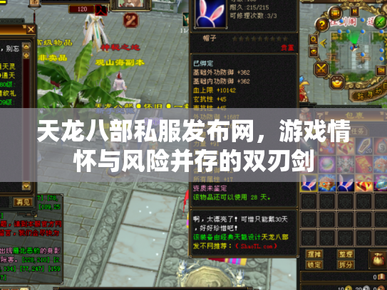 天龙八部私服发布网，游戏情怀与风险并存的双刃剑