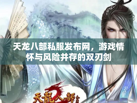 天龙八部私服发布网，游戏情怀与风险并存的双刃剑