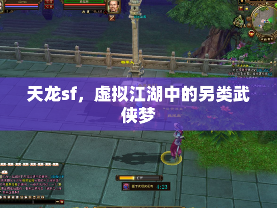 天龙sf，虚拟江湖中的另类武侠梦