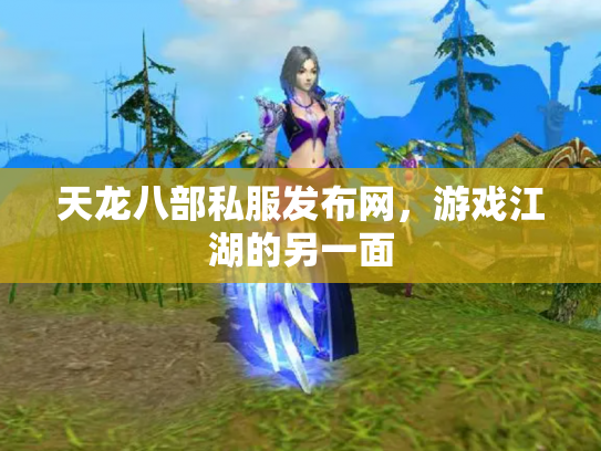 天龙八部私服发布网，游戏江湖的另一面
