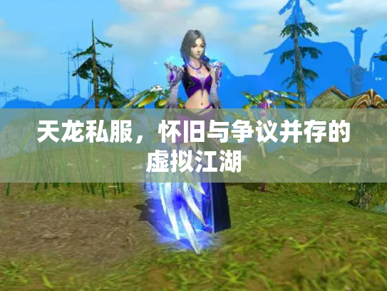 天龙私服，怀旧与争议并存的虚拟江湖