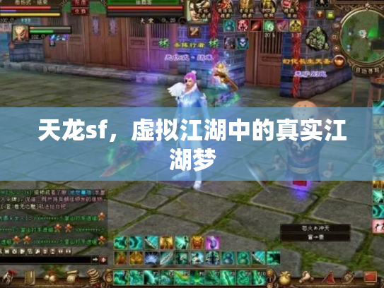 天龙sf，虚拟江湖中的真实江湖梦