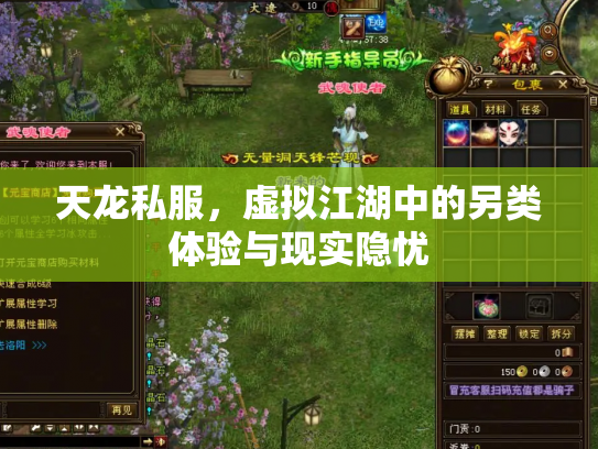 天龙私服，虚拟江湖中的另类体验与现实隐忧