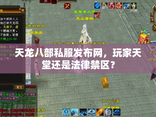 天龙八部私服发布网，玩家天堂还是法律禁区？