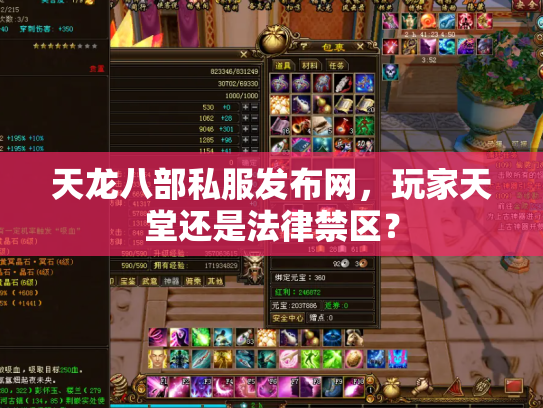 天龙八部私服发布网，玩家天堂还是法律禁区？