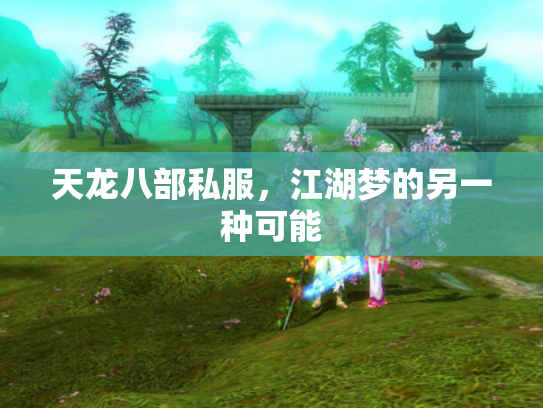 天龙八部私服，江湖梦的另一种可能