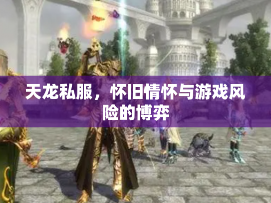 天龙私服，怀旧情怀与游戏风险的博弈