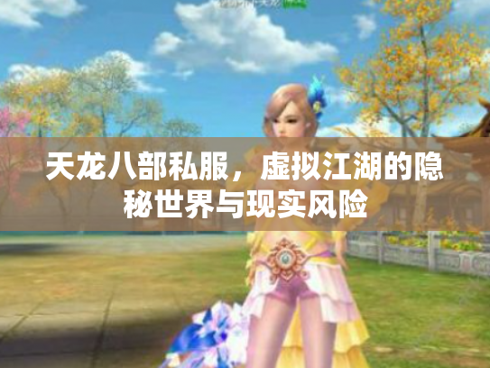 天龙八部私服，虚拟江湖的隐秘世界与现实风险