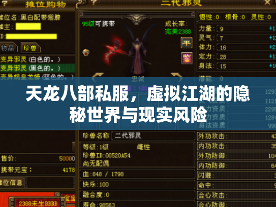 天龙八部私服，虚拟江湖的隐秘世界与现实风险