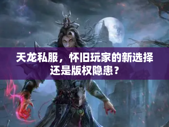 天龙私服，怀旧玩家的新选择还是版权隐患？