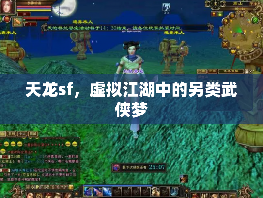 天龙sf，虚拟江湖中的另类武侠梦