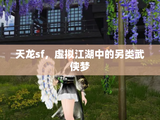 天龙sf，虚拟江湖中的另类武侠梦