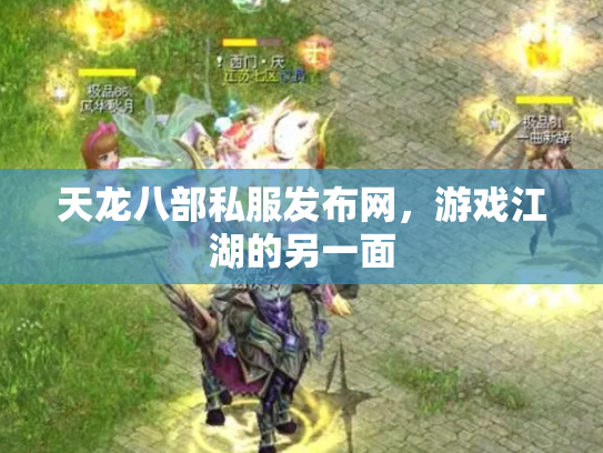 天龙八部私服发布网，游戏江湖的另一面