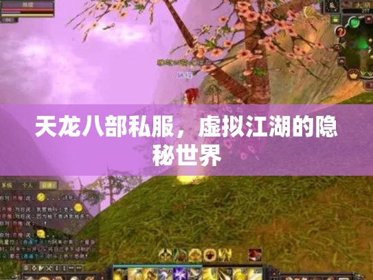 天龙八部私服，虚拟江湖的隐秘世界
