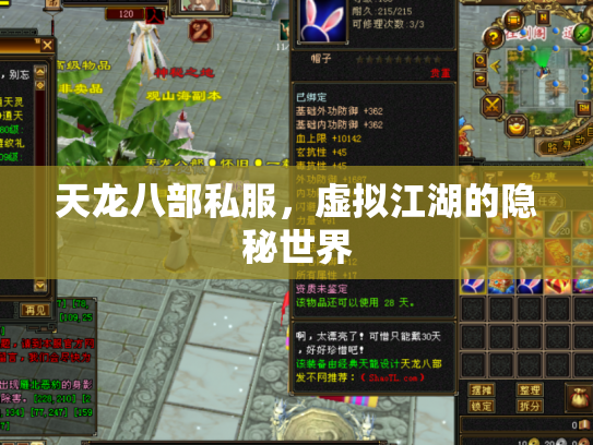 天龙八部私服，虚拟江湖的隐秘世界