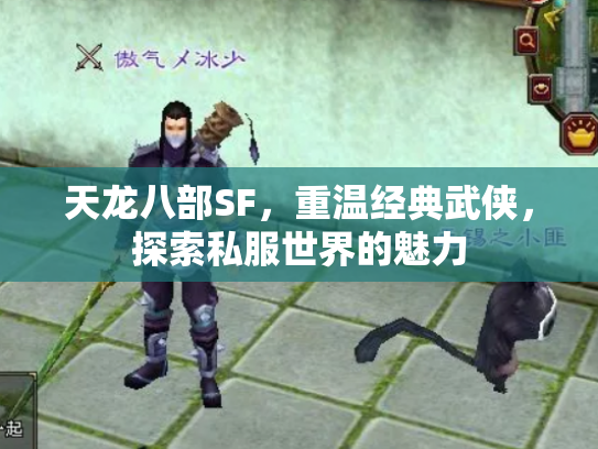 天龙八部SF，重温经典武侠，探索私服世界的魅力