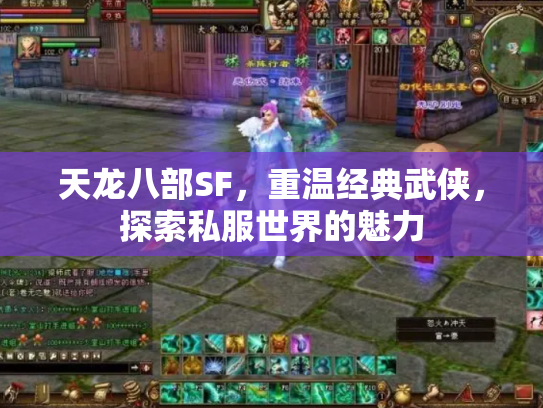 天龙八部SF，重温经典武侠，探索私服世界的魅力