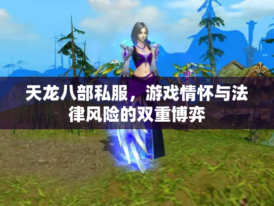 天龙八部私服，游戏情怀与法律风险的双重博弈