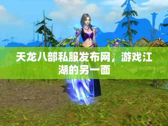 天龙八部私服发布网，游戏江湖的另一面