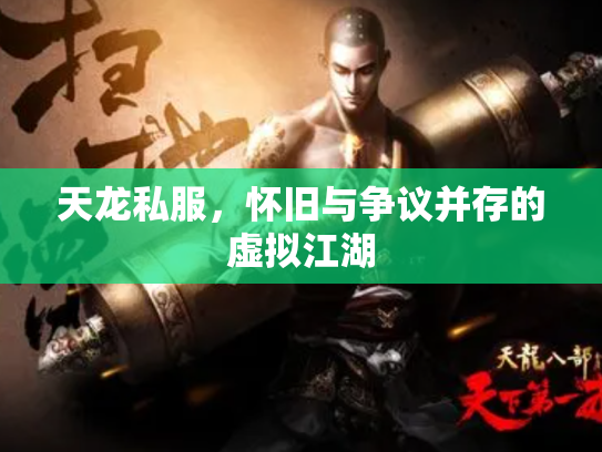 天龙私服，怀旧与争议并存的虚拟江湖