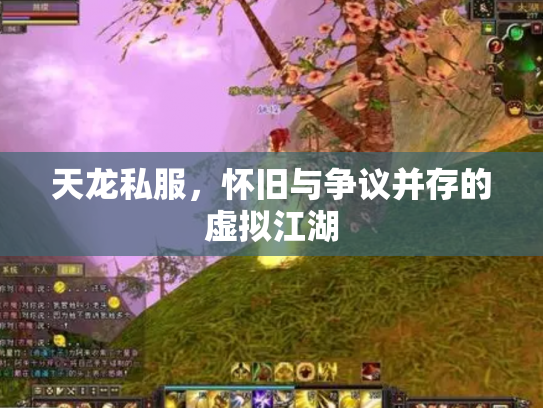 天龙私服，怀旧与争议并存的虚拟江湖