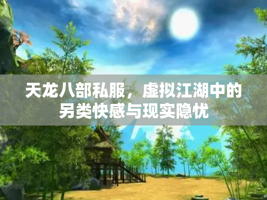 天龙八部私服，虚拟江湖中的另类快感与现实隐忧