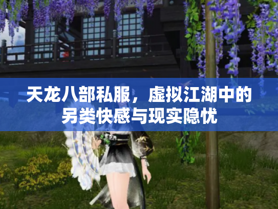 天龙八部私服，虚拟江湖中的另类快感与现实隐忧