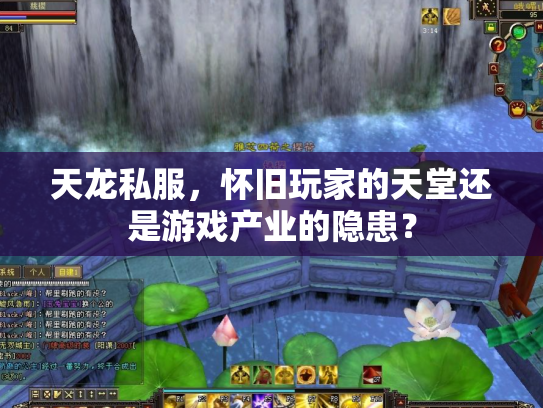 天龙私服，怀旧玩家的天堂还是游戏产业的隐患？