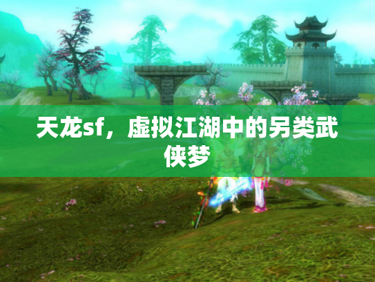 天龙sf，虚拟江湖中的另类武侠梦