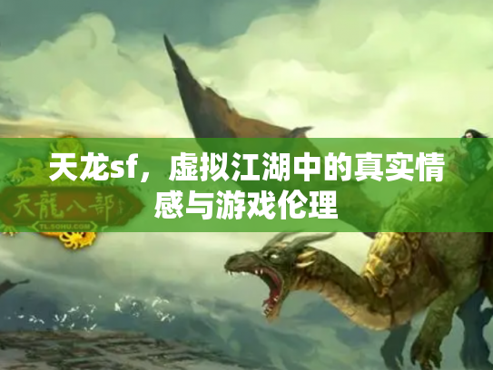 天龙sf，虚拟江湖中的真实情感与游戏伦理