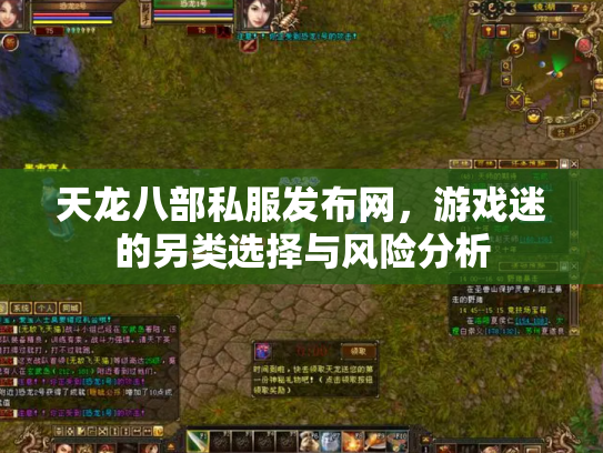天龙八部私服发布网，游戏迷的另类选择与风险分析