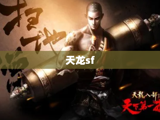 天龙sf
