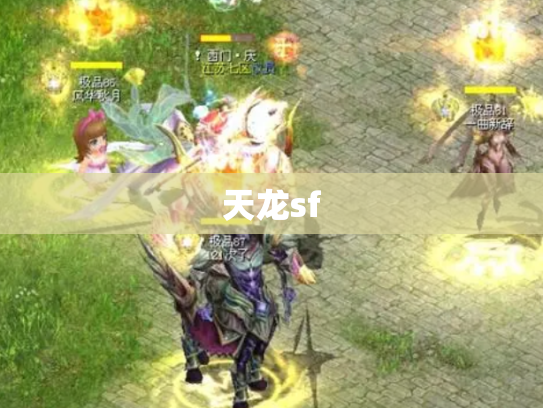 天龙sf