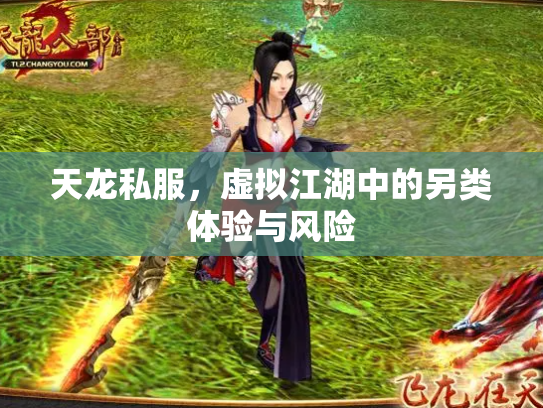 天龙私服，虚拟江湖中的另类体验与风险