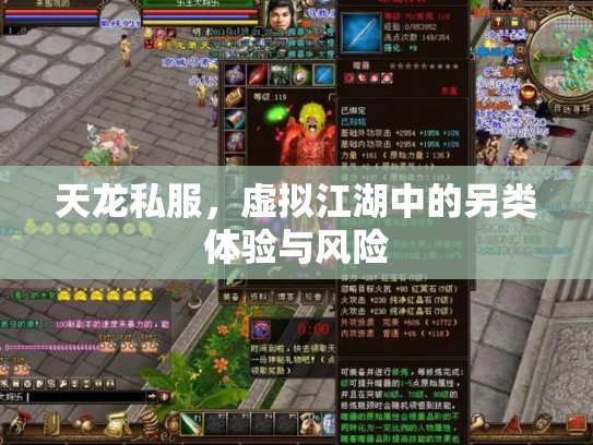 天龙私服，虚拟江湖中的另类体验与风险