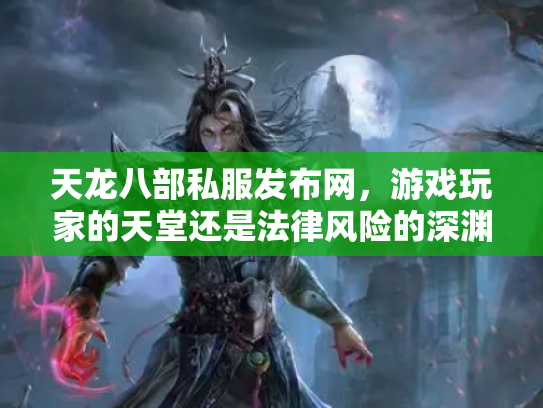 天龙八部私服发布网，游戏玩家的天堂还是法律风险的深渊？