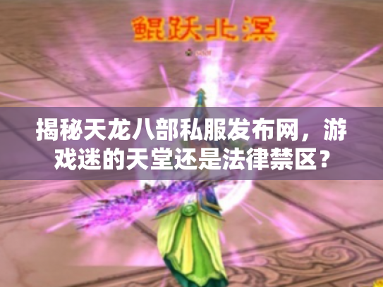 揭秘天龙八部私服发布网，游戏迷的天堂还是法律禁区？