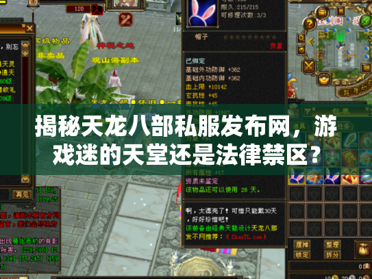 揭秘天龙八部私服发布网，游戏迷的天堂还是法律禁区？