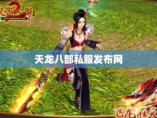 天龙八部私服发布网