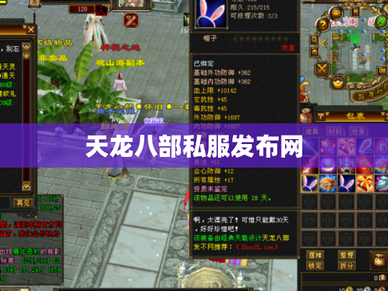天龙八部私服发布网
