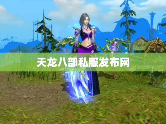 天龙八部私服发布网