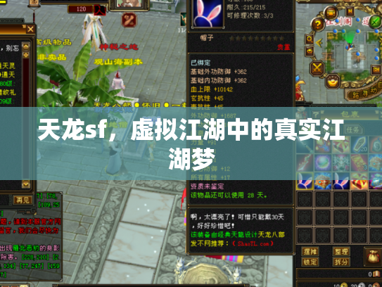 天龙sf，虚拟江湖中的真实江湖梦